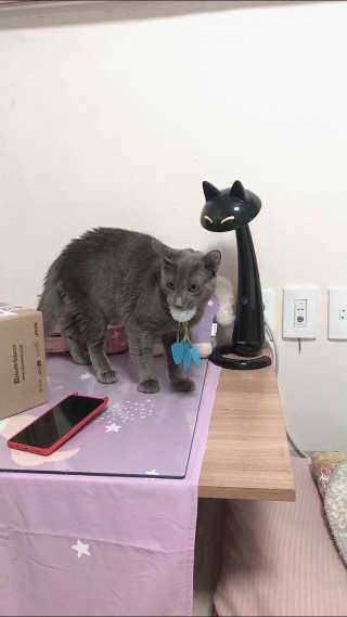 효성님이 올린 리뷰 사진 2