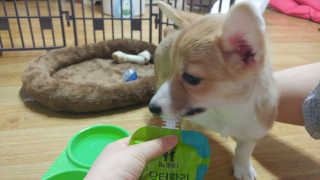 이솔미님이 올린 리뷰 사진 3