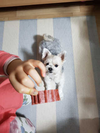 이쁜이님이 올린 리뷰 사진 2
