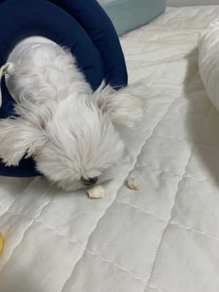 뚱이마미님이 올린 리뷰 사진 3