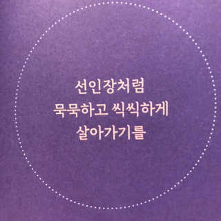 주콩님이 올린 리뷰 사진 2