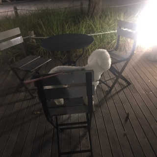 이경미님이 올린 리뷰 사진 1