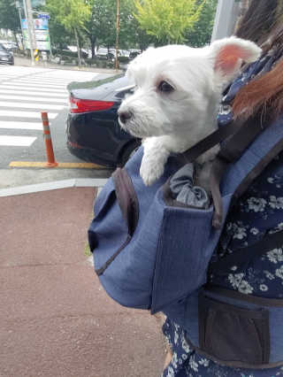 Songx님이 올린 리뷰 사진 4