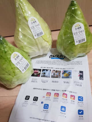 [프레베] 꼬깔양배추 3통 1.8kg 이상 — 5점을 준 리뷰어가 2018년 12월 올린 사용 사진