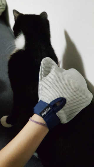 하담님이 올린 리뷰 사진 2