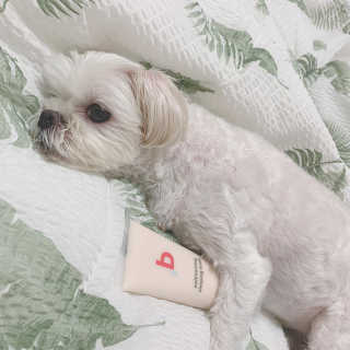미쨔아님이 올린 리뷰 사진 2