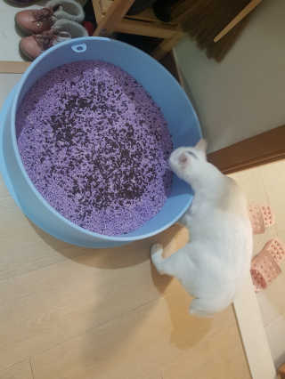 마녀철수님이 올린 리뷰 사진 2