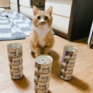 늘봄냥님이 올린 리뷰 사진 1