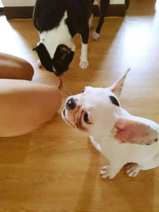 구혜진님이 올린 리뷰 사진 3