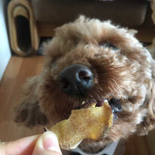 은치치님이 올린 리뷰 사진 4