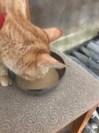 조언니님이 올린 리뷰 사진 2