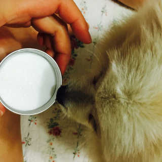 ChaeheeKylaLee님이 올린 리뷰 사진 3