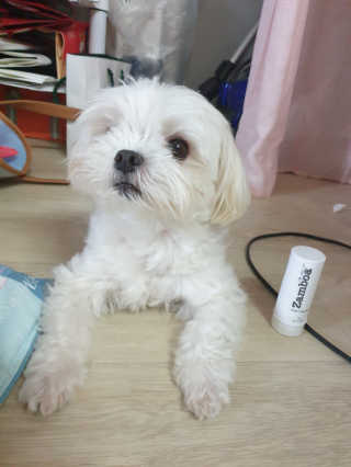 꼬물이님이 올린 리뷰 사진 3