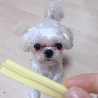 이현님이 올린 리뷰 사진 3