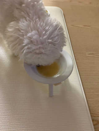 Ella님이 올린 리뷰 사진 3