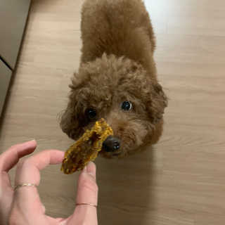 투밍님이 올린 리뷰 사진 4