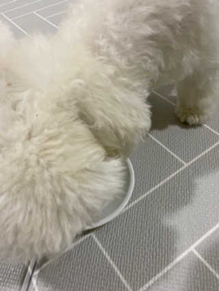hyoju님이 올린 리뷰 사진 1