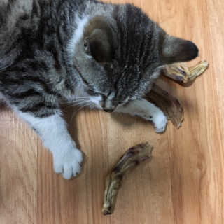 쏭블리님이 올린 리뷰 사진 4