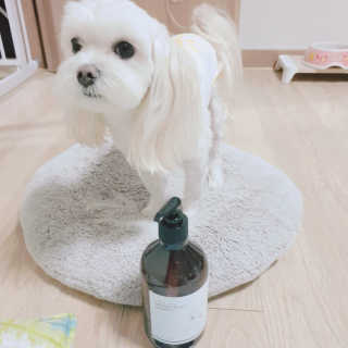 꼬미님이 올린 리뷰 사진 3