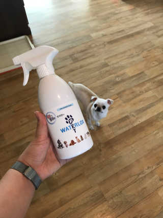 HyunEuihong님이 올린 리뷰 사진 1