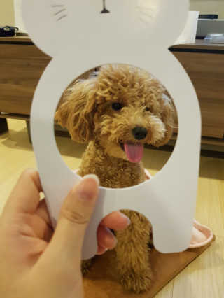 진리뷰님이 올린 리뷰 사진 3
