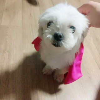 혜블리님이 올린 리뷰 사진 2