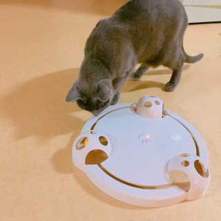 율집사님이 올린 리뷰 사진 2