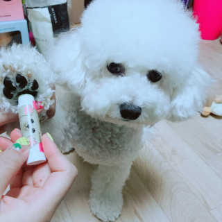 더블리스풀독 샤이니 포우 버터 0.15oz [천연 발바닥 보호제] — 4.5점을 준 리뷰어가 2018년 7월 올린 사용 사진