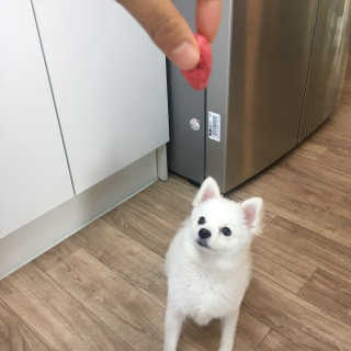 김연희님이 올린 리뷰 사진 4