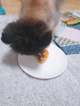 아윤마밍님이 올린 리뷰 사진 4