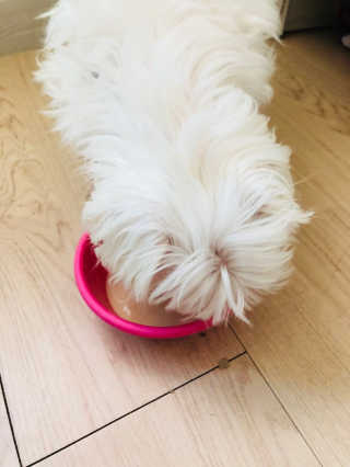 정지혜님이 올린 리뷰 사진 2