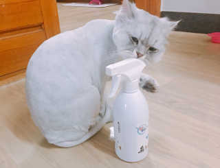 소봄이님이 올린 리뷰 사진 2
