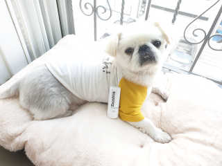 mini unni님이 올린 리뷰 사진 1