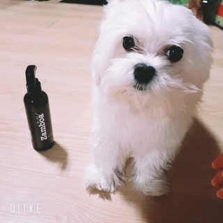 혜린님이 올린 리뷰 사진 3