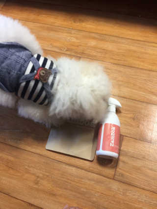 김승희님이 올린 리뷰 사진 3