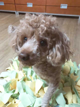 minji님이 올린 리뷰 사진 3