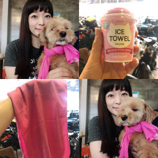 조언니님이 올린 리뷰 사진 1