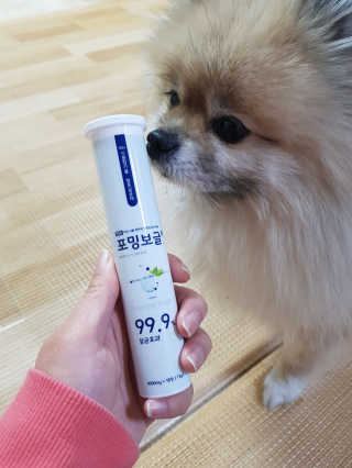 레고사줘님이 올린 리뷰 사진 1