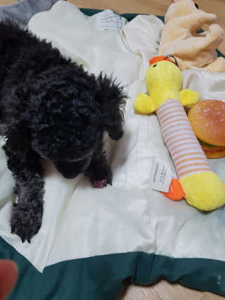 미기리니님이 올린 리뷰 사진 3