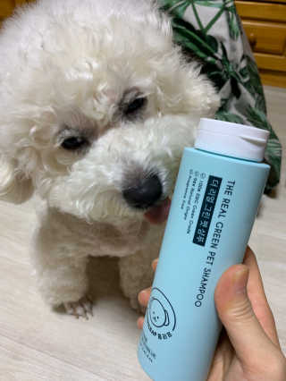 써니님이 올린 리뷰 사진 3