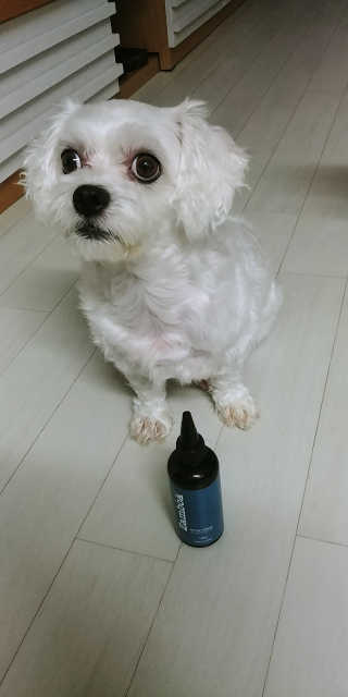 여늬님이 올린 리뷰 사진 2