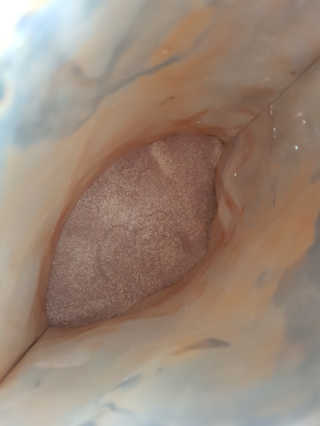 솔마미님이 올린 리뷰 사진 3