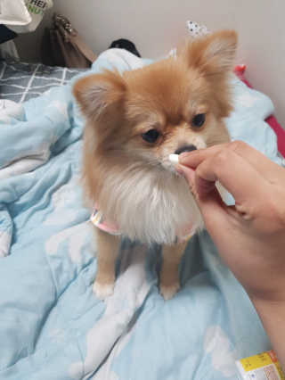 tmvksl5님이 올린 리뷰 사진 1
