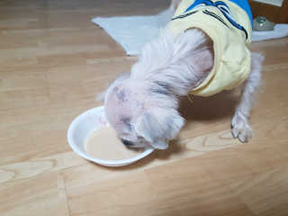 ChoHeePark님이 올린 리뷰 사진 2