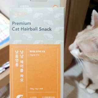 JENNY님이 올린 리뷰 사진 3