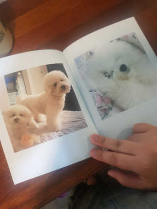 꾸꾸엄마님이 올린 리뷰 사진 2