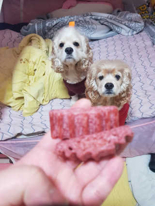 조소민님이 올린 리뷰 사진 2
