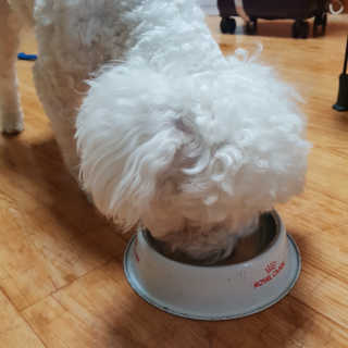김요물님이 올린 리뷰 사진 3