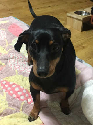 현뎡이님이 올린 리뷰 사진 3
