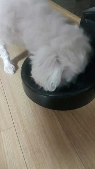 쭈리미~~님이 올린 리뷰 사진 4